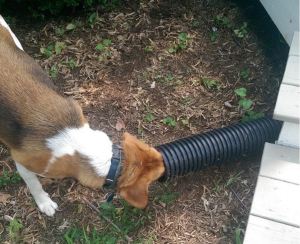tillerunderthepipe